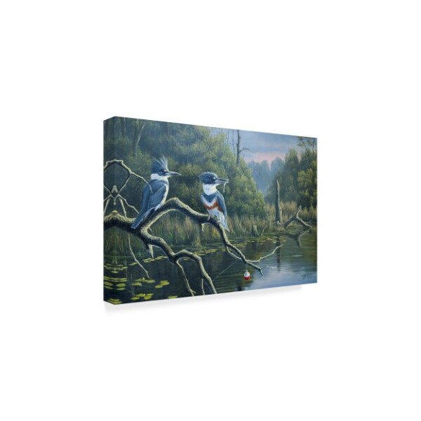 Wilhelm Goebel 'Luck Belted Kingfishers' Canvas Art,30x47